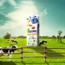 Bjorg milk | social media post