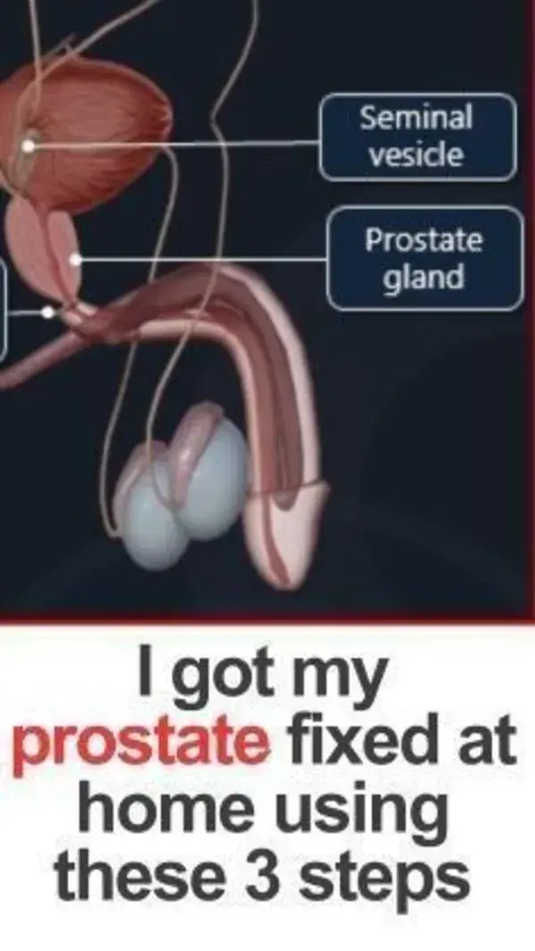 Prostate Health