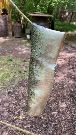 Salmon Leather - Primitive Skill