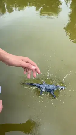 RC simulation crocodile toy