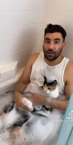 you have to commit to bathe cats