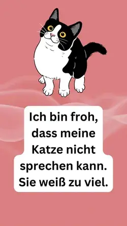 Lustige Katzensprüche - CAT MEME - Katzen Weisheiten