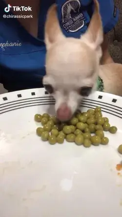 Peas Please 