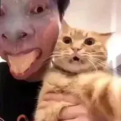 Reaction from the cat