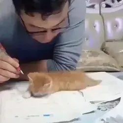 helping hooman homework😹😻Please checkout my youtube channel, a subscribe would be great👇👇