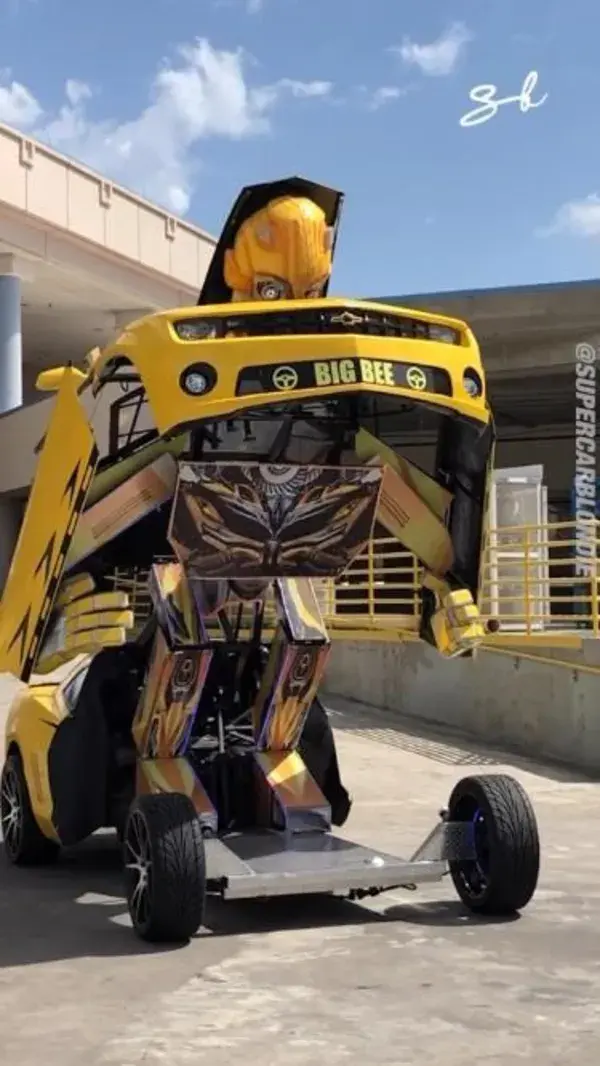 Unbelievable Reality: The Real-Life Bumblebee