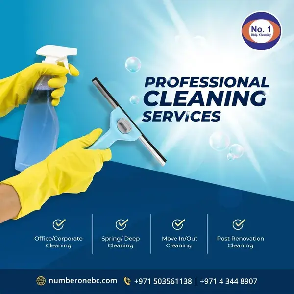 Professional cleaning services