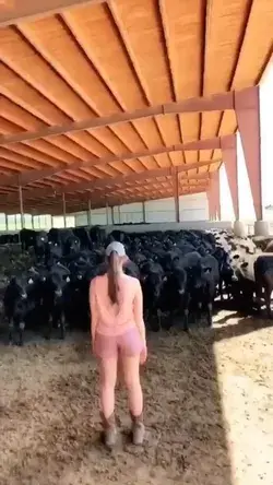 Funny Girl and Cow😂