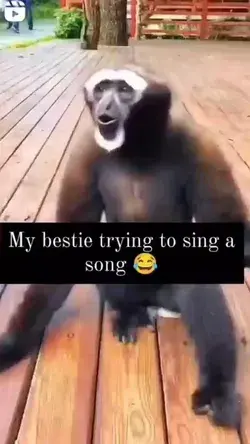 When My Bestie trying to sing a song