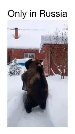 In Russia, the bear hugs you