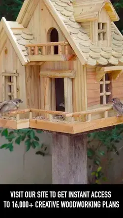 Decorative Wooden Birdhouse Feeding Unique Design | DIY Project