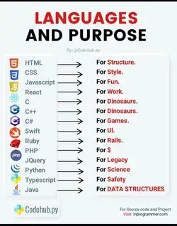 Languages and purpose🤩👨‍💻