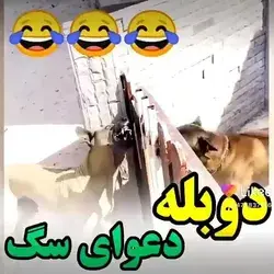 داشی 😂😂