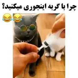 خدا بیامرزتش😂👊🏻