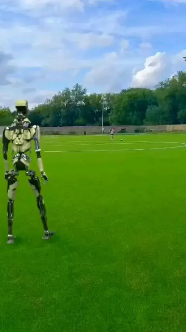 Robot playing football.