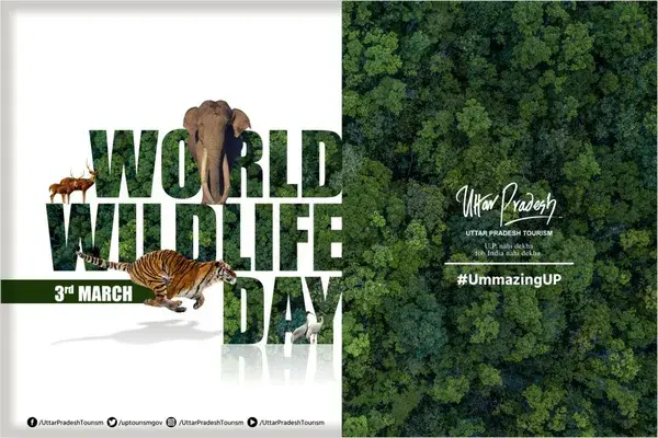 World wildlife day