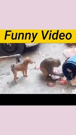 WHAT THE ACTION FIGHT🤣 funny Fight