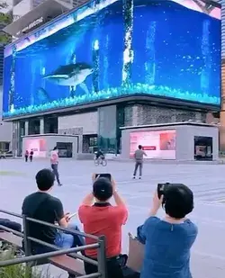 Amazing BIG whale tank n Japan