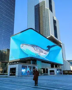 Coex mall, Seoul, South Korea Landscape