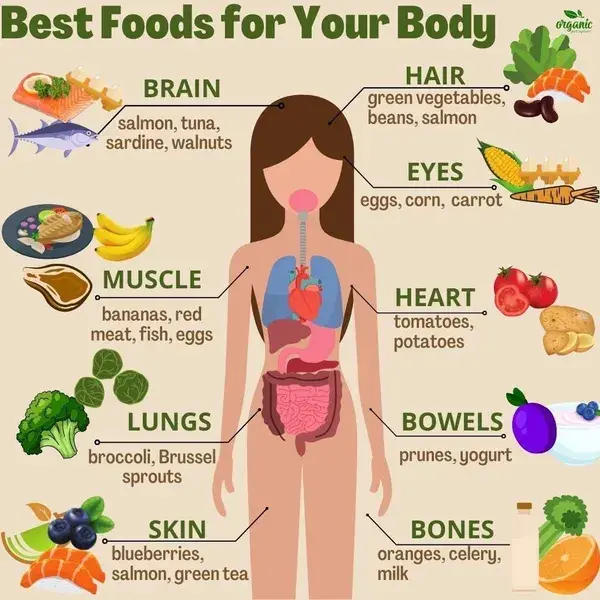 Best food for your body
