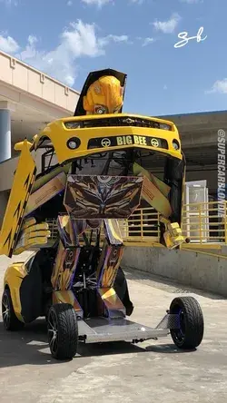 Homemade Bumblebee Transformer😍