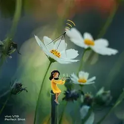 Macro Photographs Combined With Cute Illustrations By Vimal Chandran