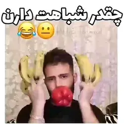 چقدر شباهت دارت 😐😂