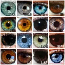 PJO/HoO eyes