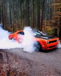 Forest Ranger Sending the 888HP