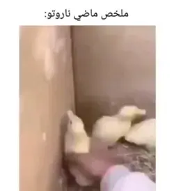 اضحك ولا ابكي 😭😭😭💔