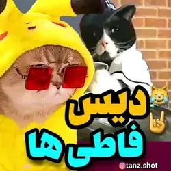 با احترام ب همه فاطیا😂