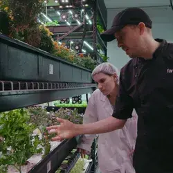 Underground Farms | New York