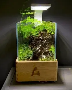 Mini Waterfall