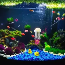 10 Gallon GloFish Tank Ideas