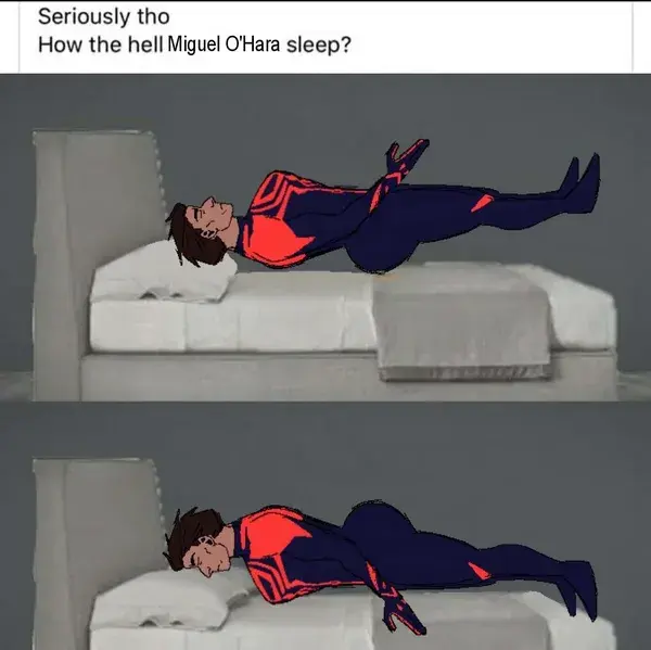 spider man meme or smth