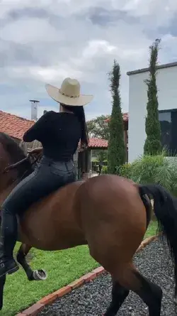 #soyganadera Mujeres Hermosas de Colombia montando caballo Criollo Colombiano | Fotos de caballos finos, Fotos de caballos hermosos, Vídeos de caballos