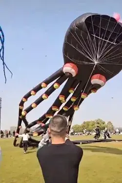 😁This giant kite will make you the center of attention😎