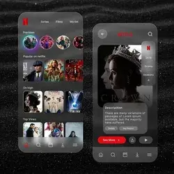 Ui Design Netflix Mobile App