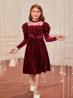 Girls 1pc Contrast Mesh Gigot Sleeve Pearls Beaded Belted Velvet Dress