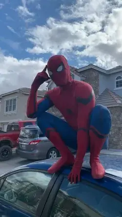 SPIDER-MAN REAL LIFE