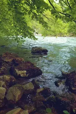 Relaxing River Sounds in Vadu Crişului Gorge, Romania - Water Sounds for Sleep