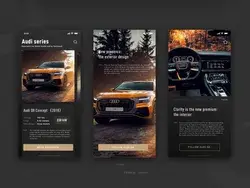 Audi Q8 App Design