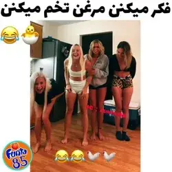 جرررر😂باق باق 😂🐓💔