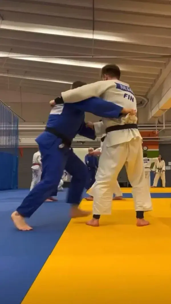 not my video , judo throws