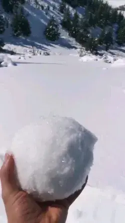 Snow ball