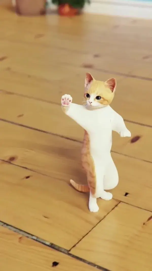 Funny Cat Dance 🤣🤣🤣🤣