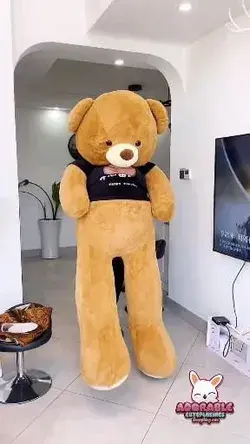 Teddy 🐻 Bear Plush