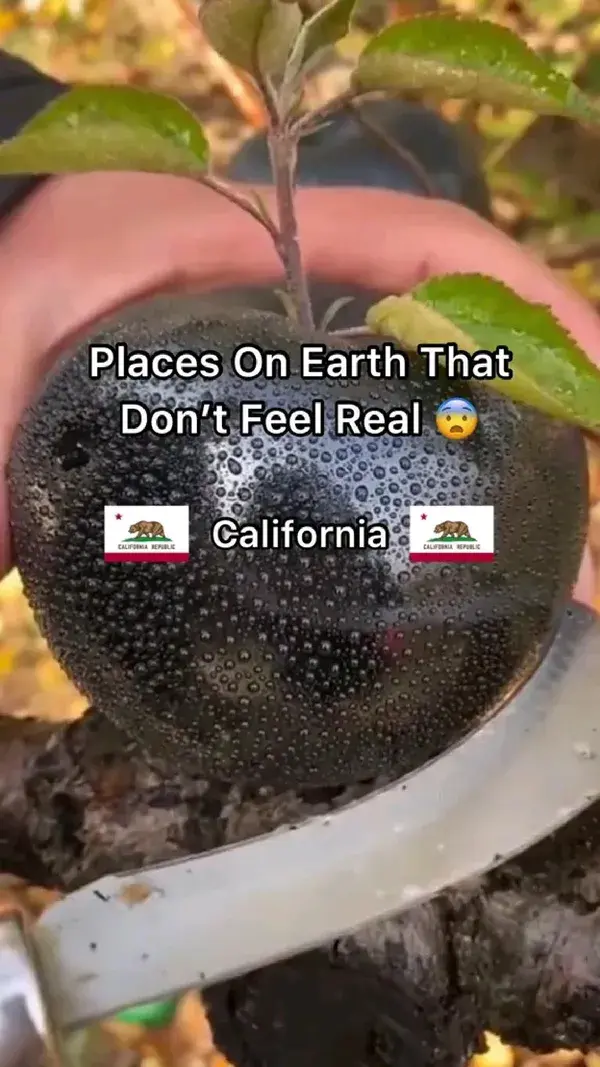 places on earth that don't feel real | California