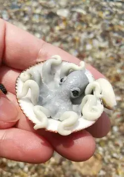 🐙🤍🐚