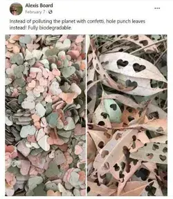 Leaf confetti